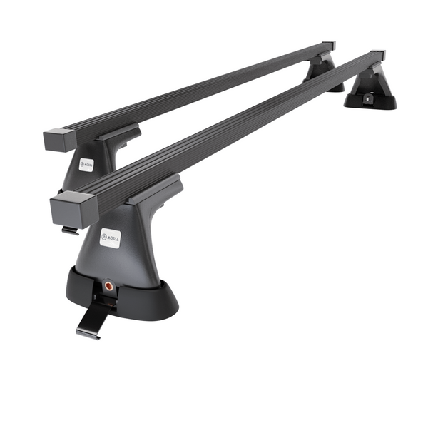 Basisrek voor het autodak voor Toyota RAV4 mk II SUV (2000-2005) - zwart Imperiaal - bevestigingspunten - Staal